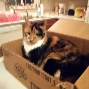 Meet your Posher, Patti